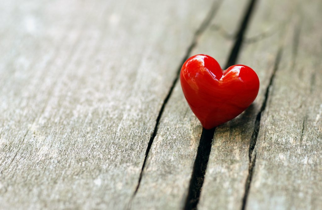 The Love Issue 542 Partners