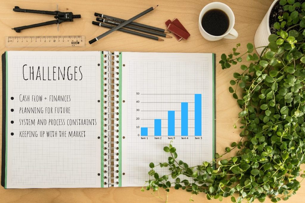 Overcoming business growing pains