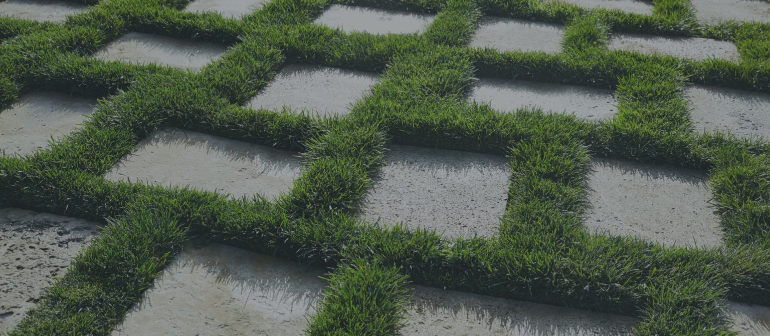 Concrete walkway pavers separated by strips of green grass